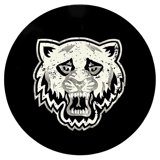 LONE STAR DISC BRAVO BEARKAT